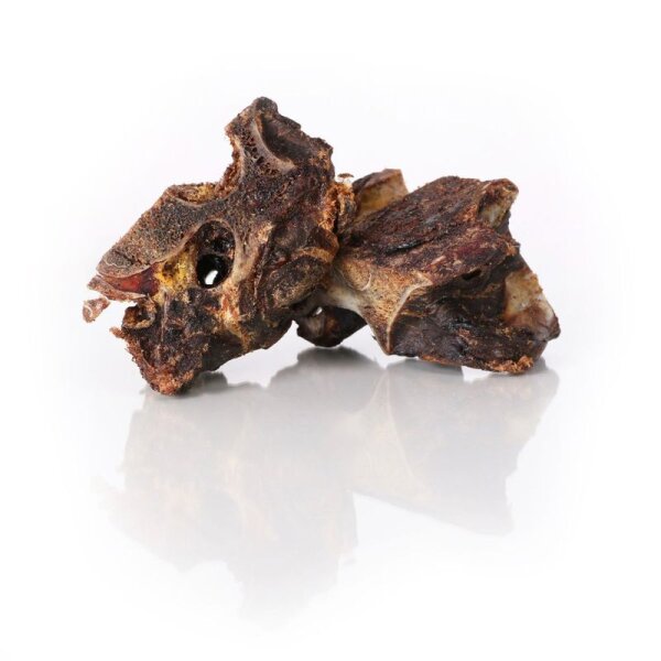 Pferde Nackenknochen