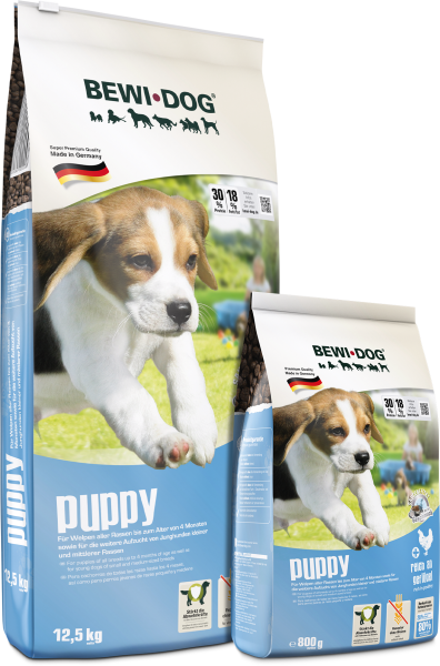 BEWI DOG puppy