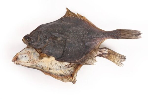 Flunder 1 Kilogramm