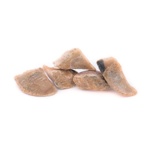 Rinderhufe mit Pastete 5 Stück