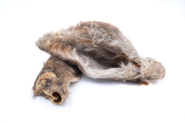 Hirschohren mit Fell