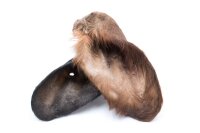 Kälberohren mit Fell