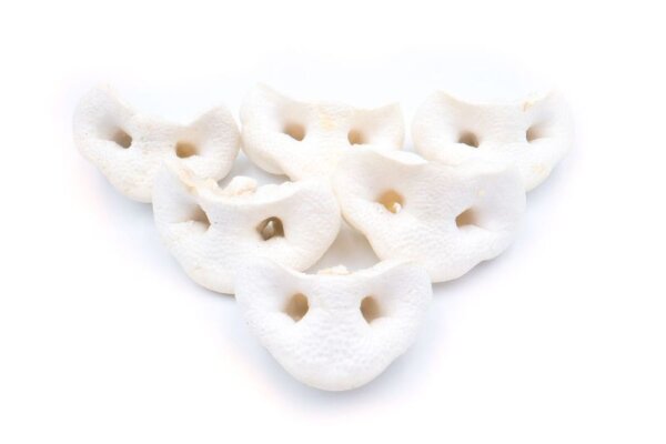 Schweinenasen gepufft