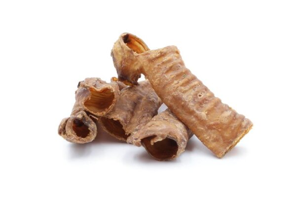 Hirschstrossen Luftröhre