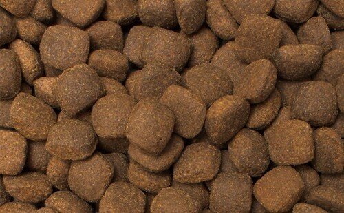 Grobys Commanders Aktiv Croc