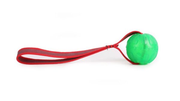 Treat Dispensing Chew Ball M mit Wurfband und Schlaufe