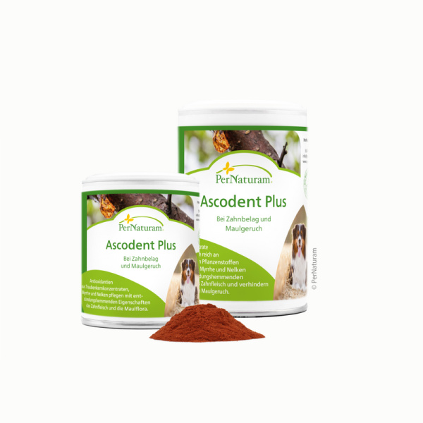 PerNaturam Ascodent Plus