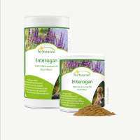 PerNaturam Enterogan