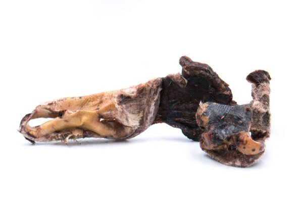 Rindernasen mit Fell