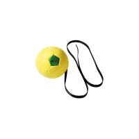 Trainingsball mit Seil, aufgepumpt, Ø 180mm