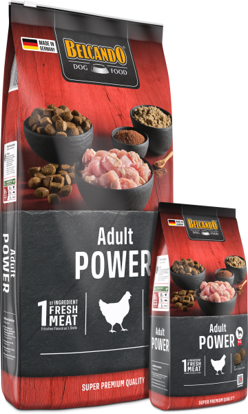 BELCANDO Adult Power