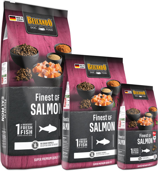 BELCANDO Finest GF Salmon